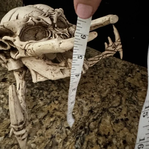 Predator skull Yautja Trophy from Alien vs. Predator and Predator movies Resin - Picture 7 of 10